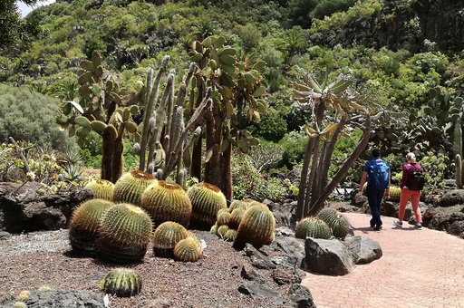 Jardín botánico Gran Canaria