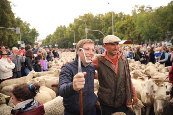 trashumancia Madrid