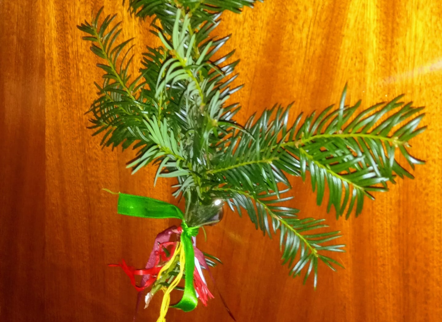 Criosanabria promueve el ramo de teixu en semana santa